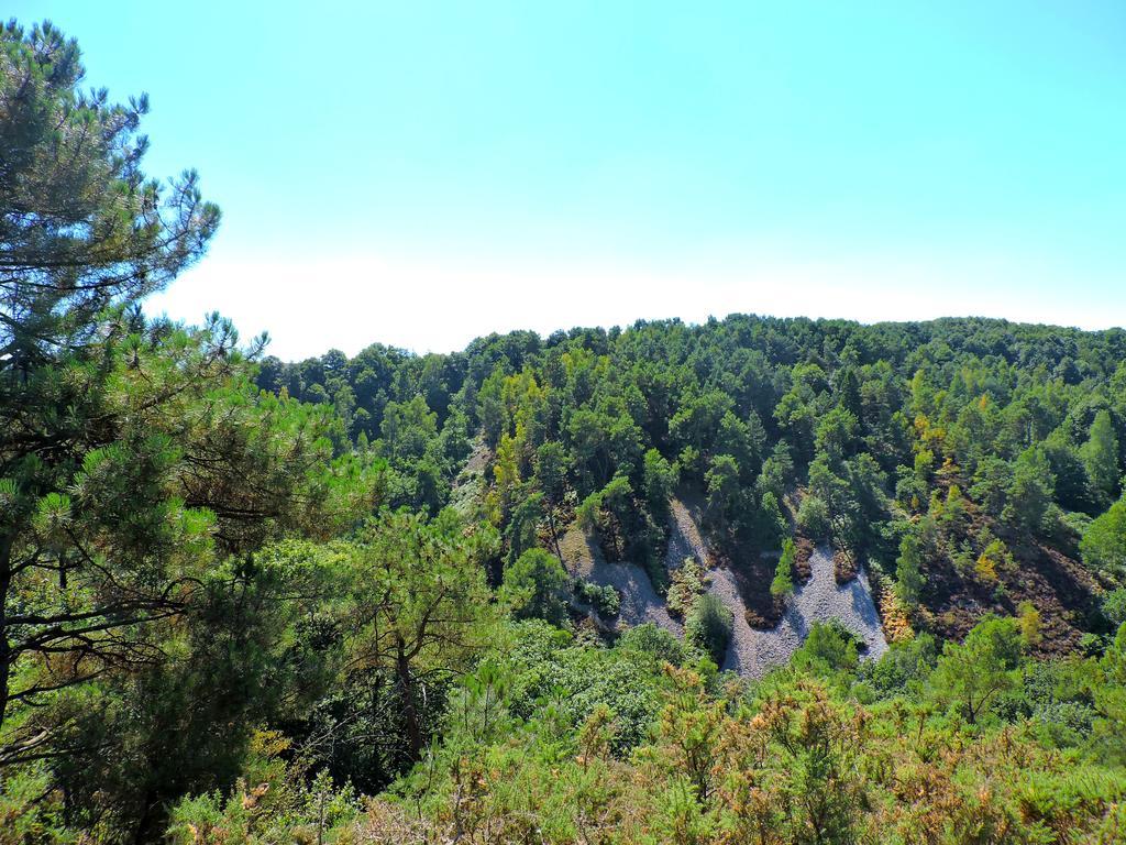 Gite Le Bourgneuf Fresnay-sur-Sarthe Esterno foto