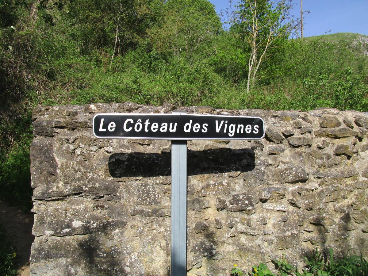 Gite Le Bourgneuf Fresnay-sur-Sarthe Esterno foto